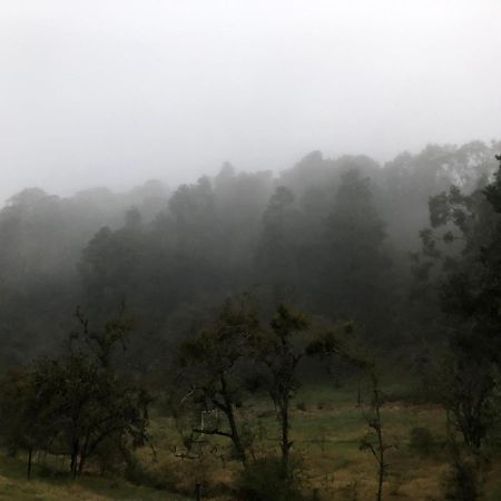 Cabana Romantica En El Bosque! Acaxochitlán Екстериор снимка