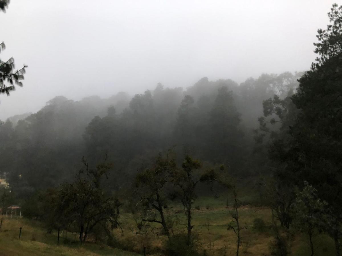 Cabana Romantica En El Bosque! Acaxochitlán Екстериор снимка